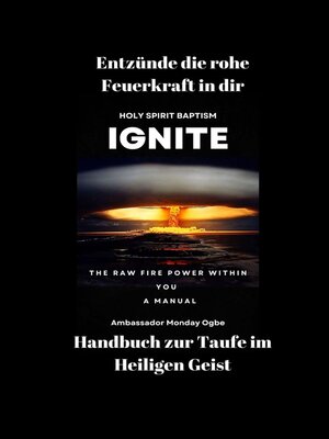 cover image of Entzünde die rohe Feuerkraft in dir--Handbuch zur Taufe im Heiligen Geist